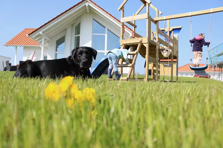 Schwarzer Labrador im Garten der Villa Ankerplatz mit Spielplatz